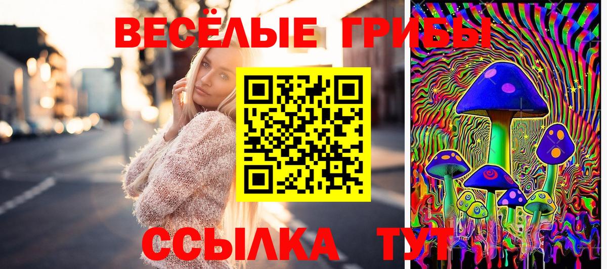 Псилоцибиновые грибы Psilocybine cubensis  Галлюциногенные грибы Cubensis  Вход с VPN  Красноармейск 