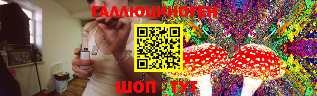 Галлюциногенные грибы Magic Shrooms Красноармейск